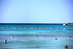 Waikiki Beach - Surfers but no waves
